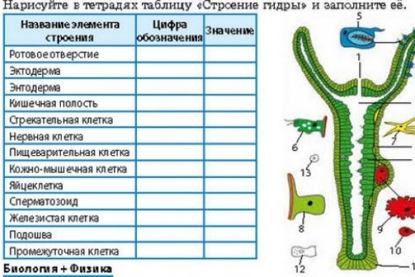 Кракен сайт что будет если зайти